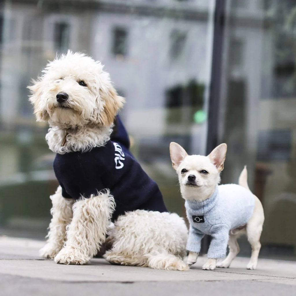 Logo Jumper
