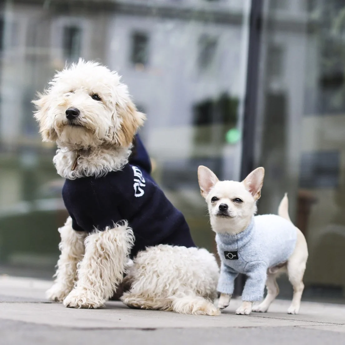 Logo Jumper