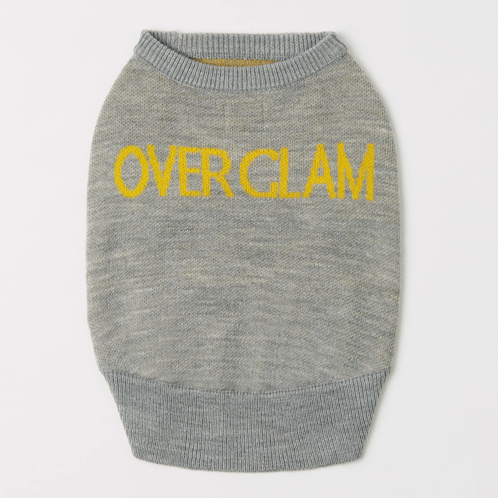 Logo Jumper