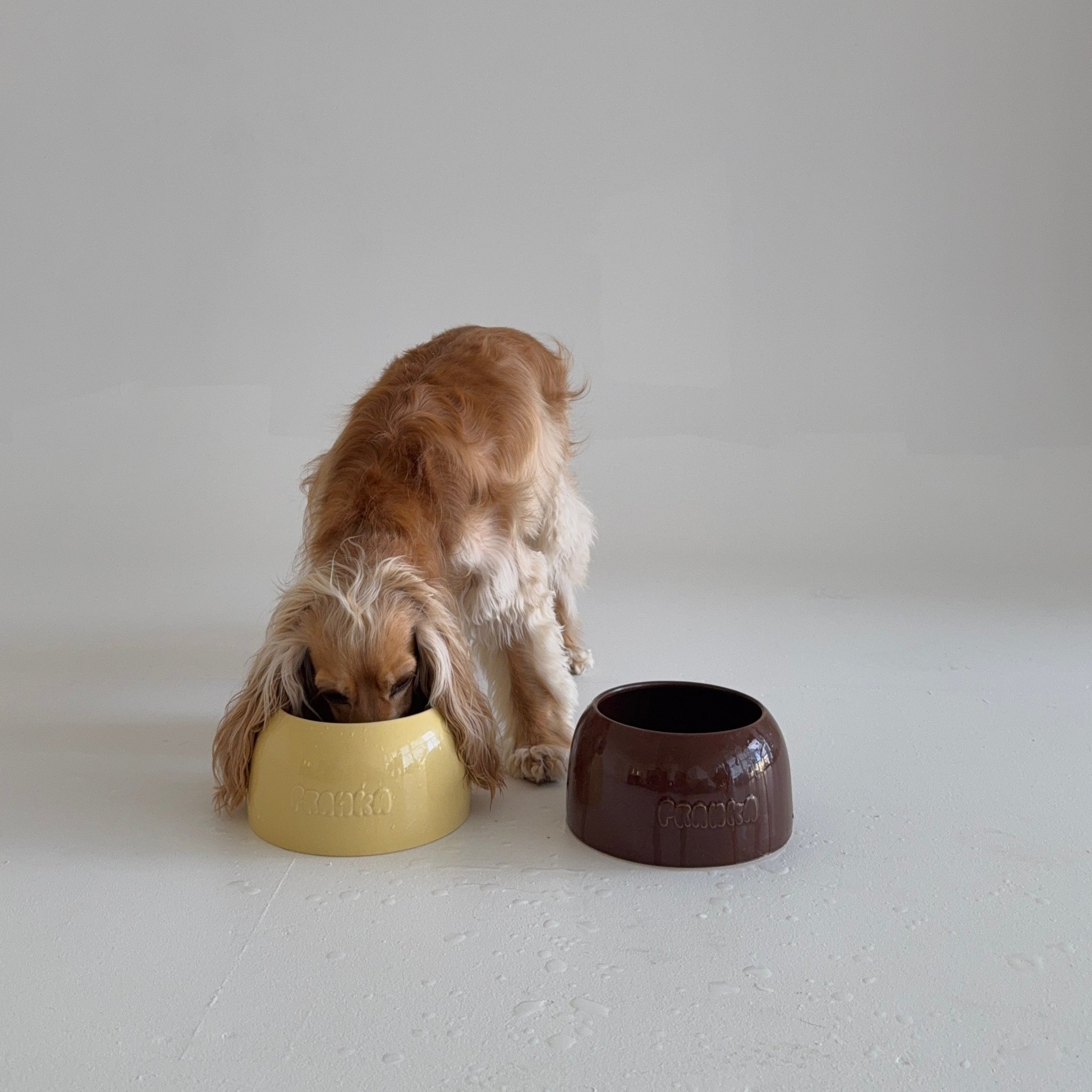 Long Eared Dog Bowls