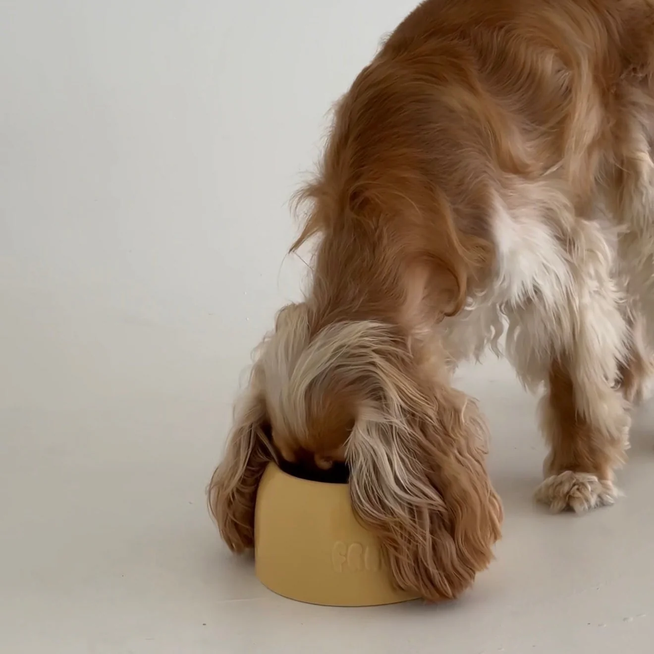 Long Eared Dog Bowls