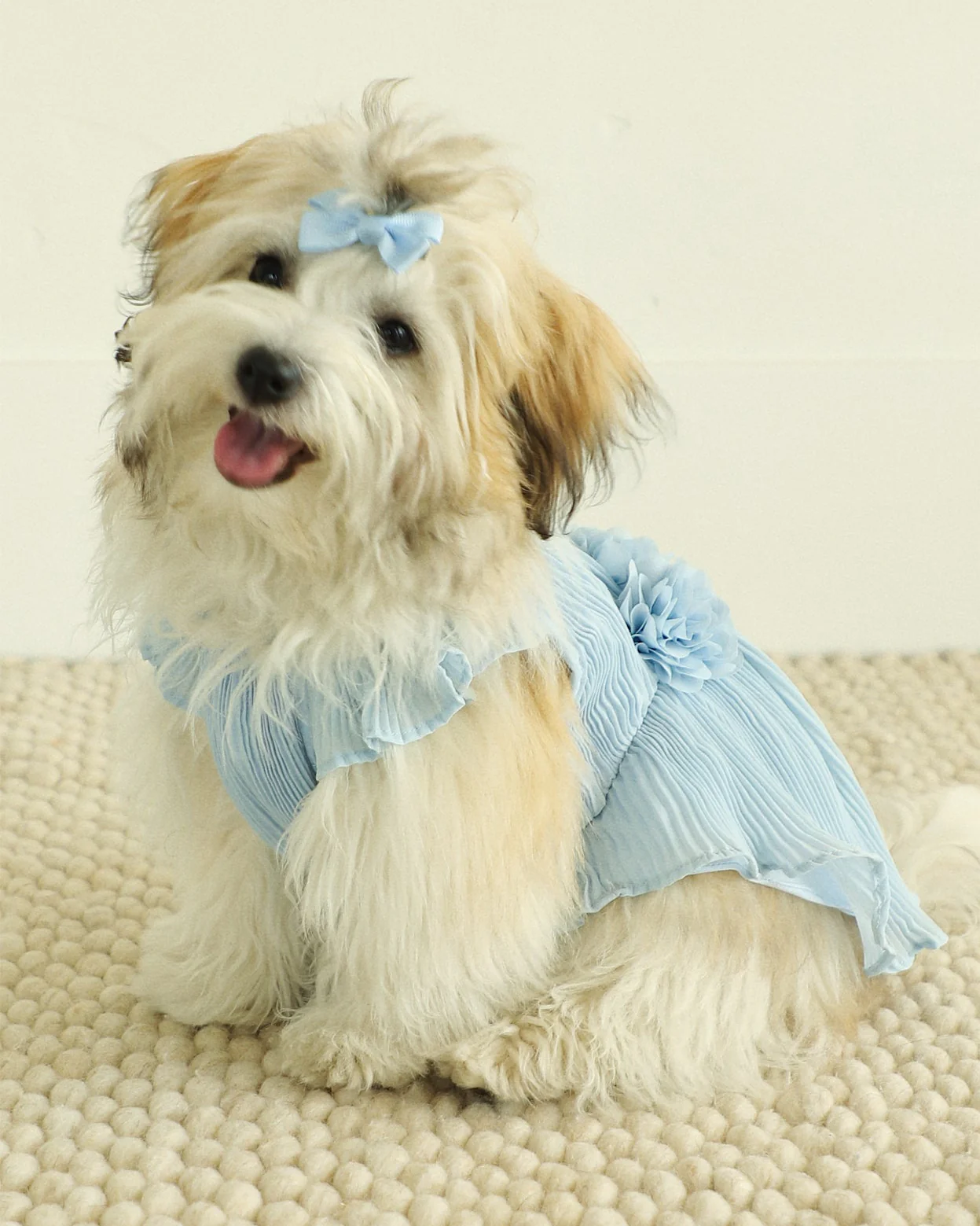 Love Story Ice Blue Pleated Chiffon Dress