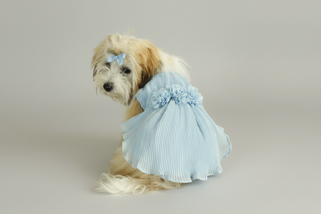 Love Story Ice Blue Pleated Chiffon Dress