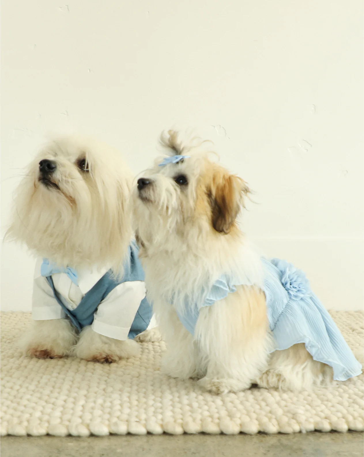 Love Story Ice Blue Pleated Chiffon Dress