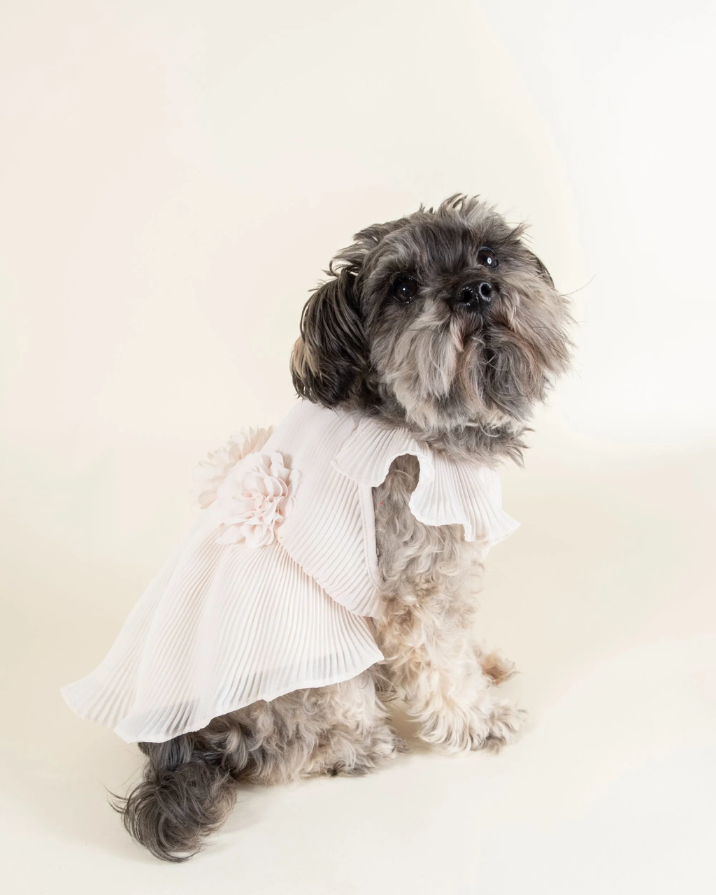 Love Story Petal Pink Pleated Chiffon Dress