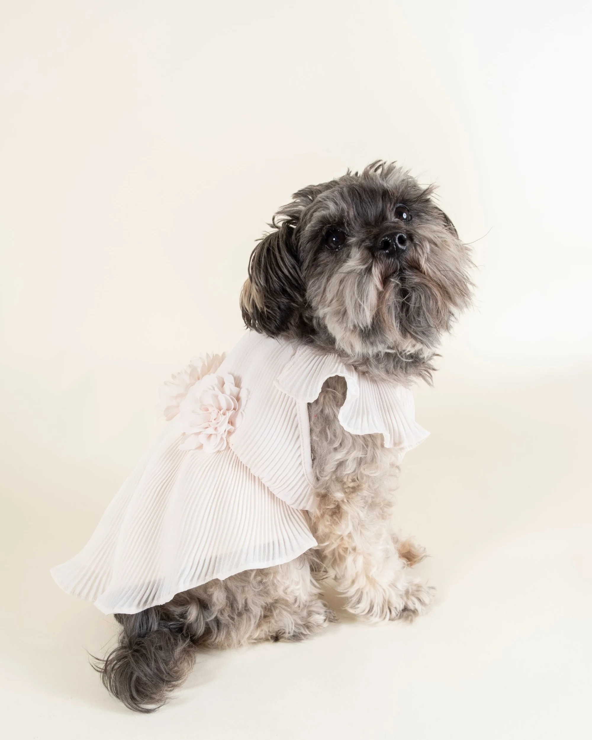 Love Story Petal Pink Pleated Chiffon Dress