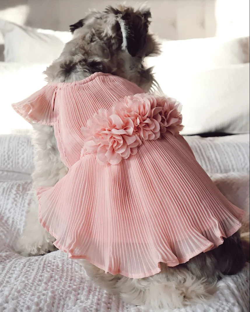 Love Story Rose Pink Pleated Chiffon Dress