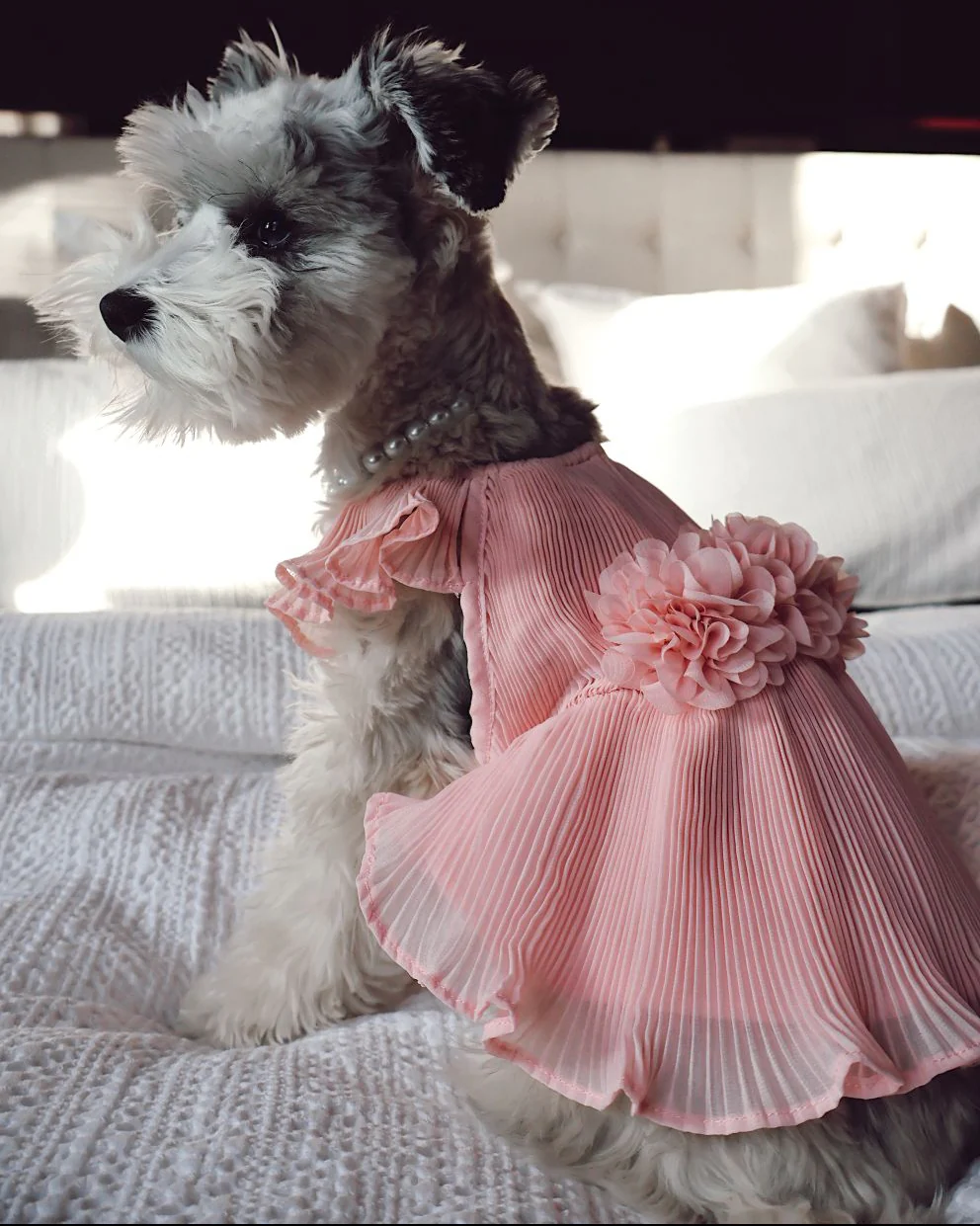 Love Story Rose Pink Pleated Chiffon Dress