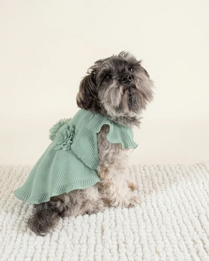 Love Story Sage Green Pleated Chiffon Dress