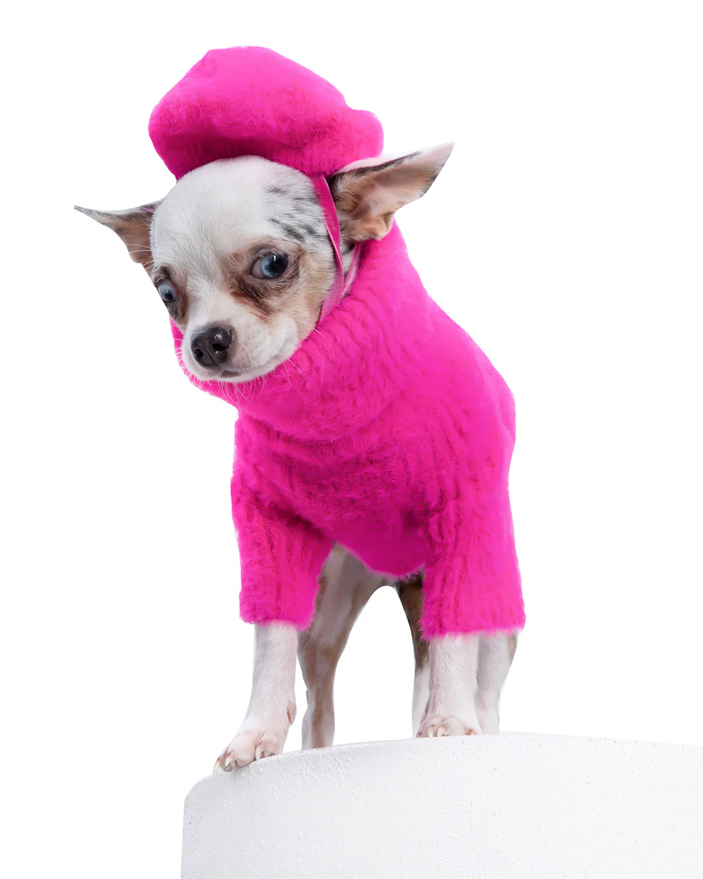 Loves It Dog Sweater & Hat