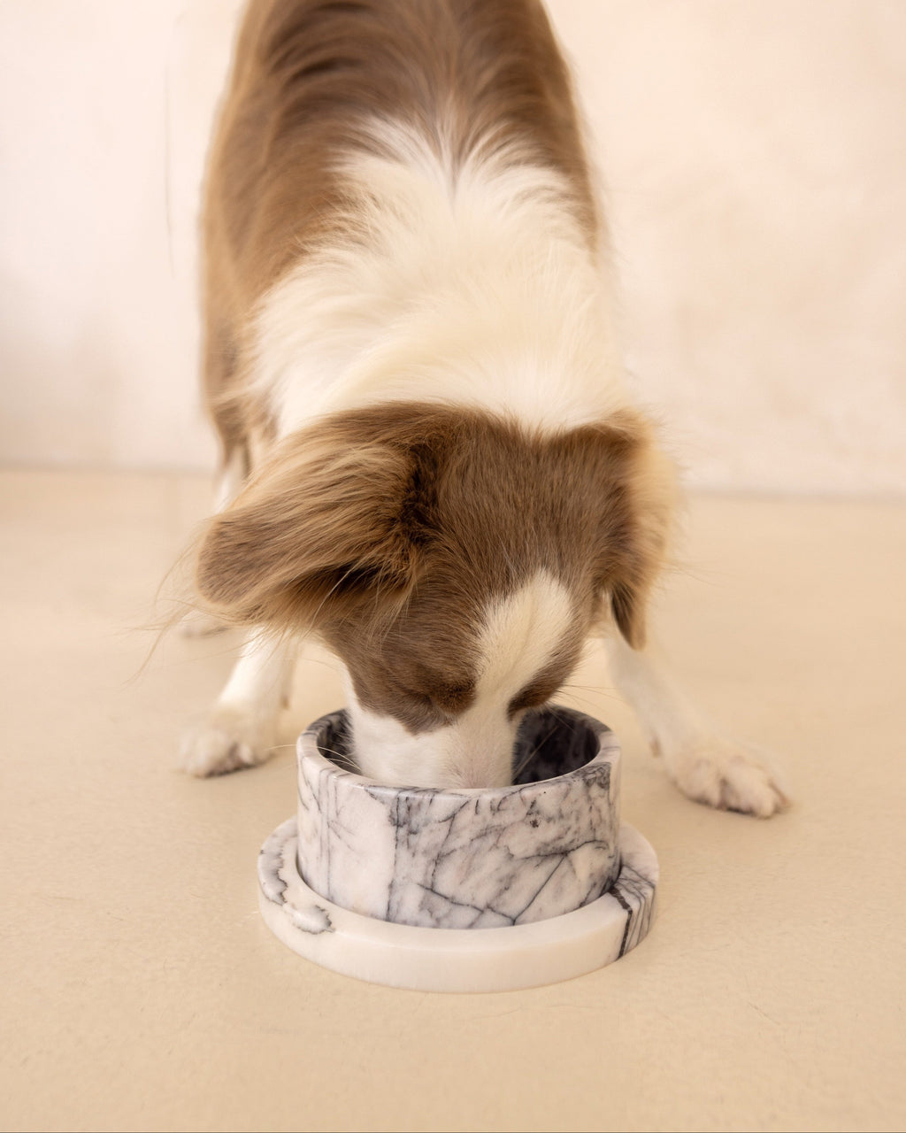 Marble Dog Bowl & Tray Set - New York Marble