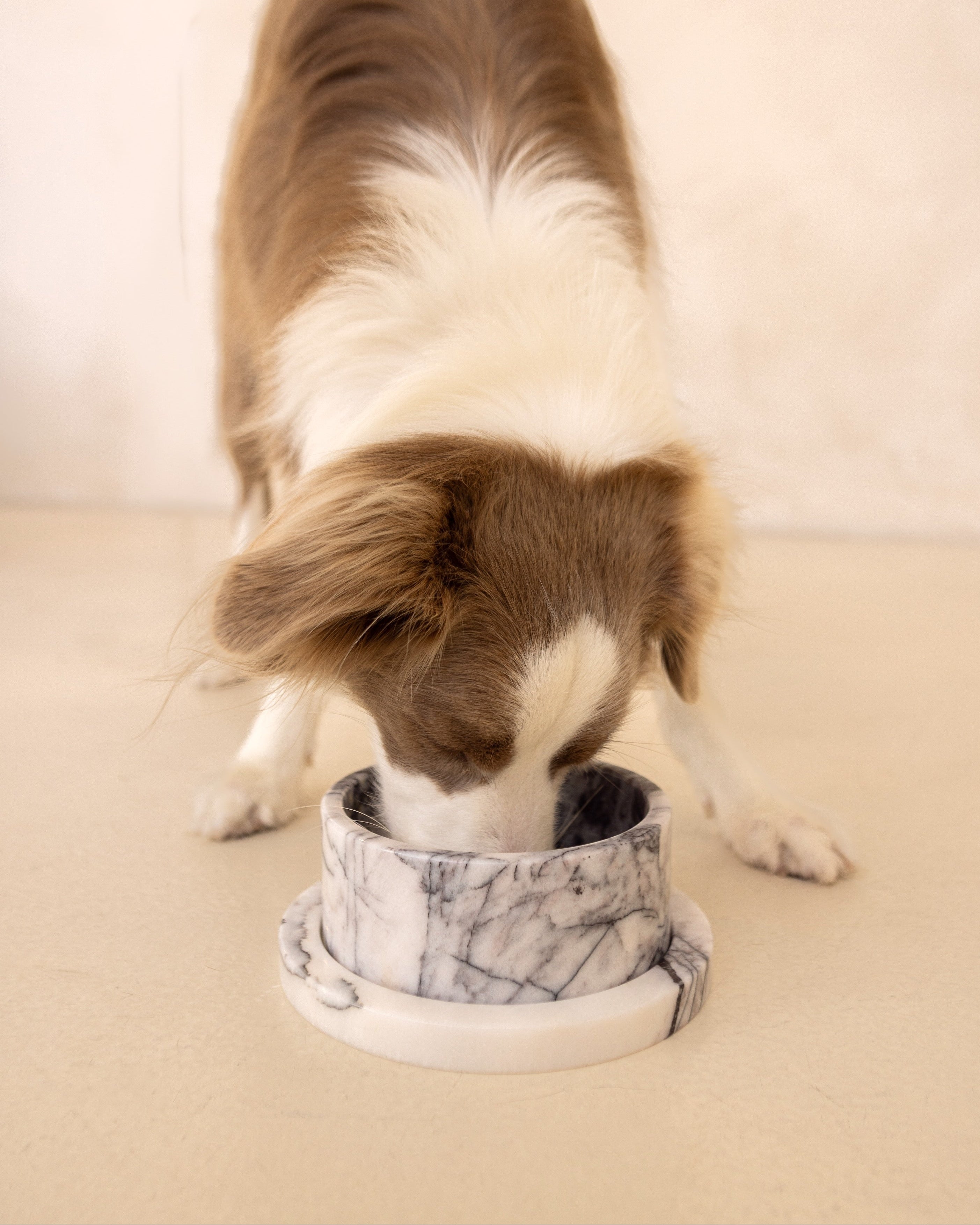 Marble Dog Bowl & Tray Set - New York Marble