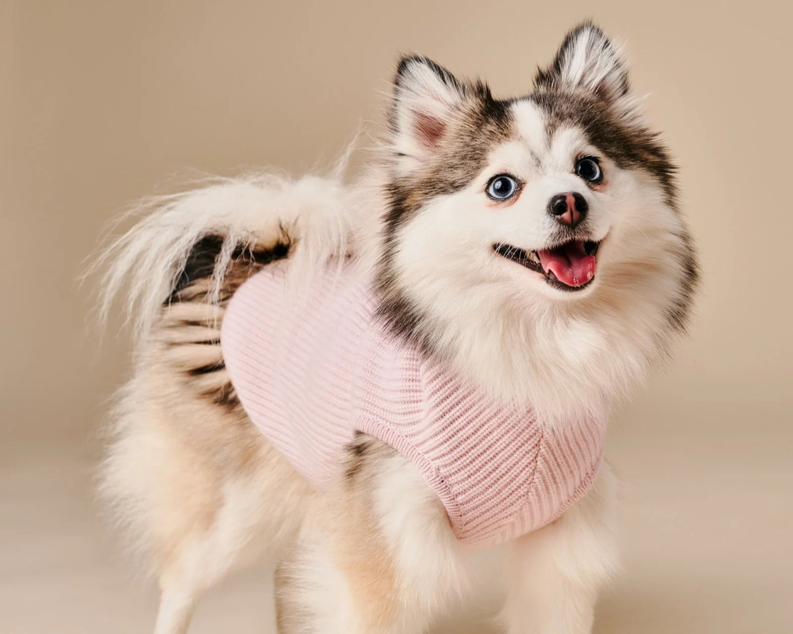 Ellie Sweater – Pink