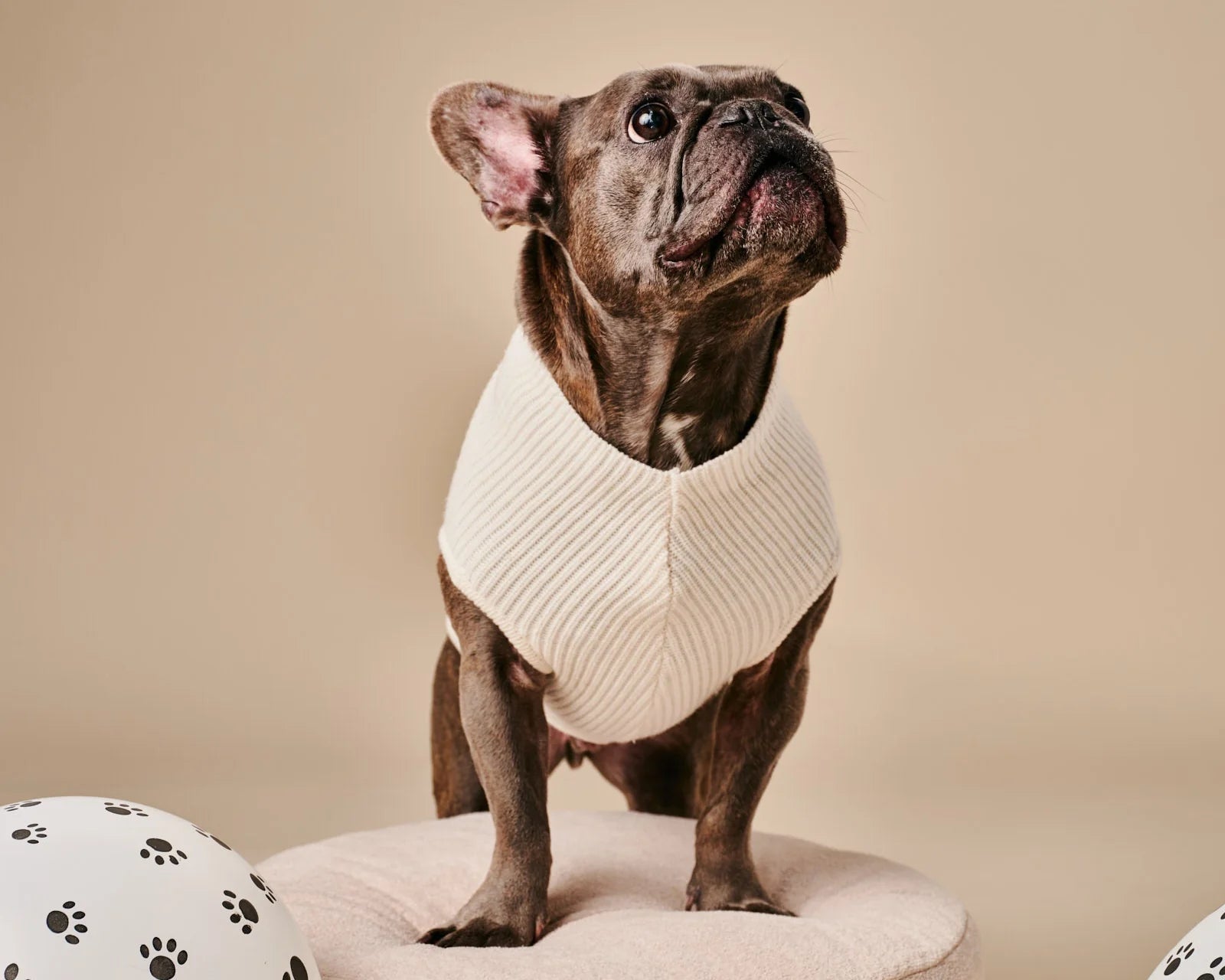 Ellie Sweater – White
