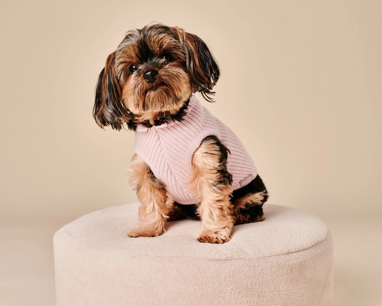 Ellie Sweater – Pink