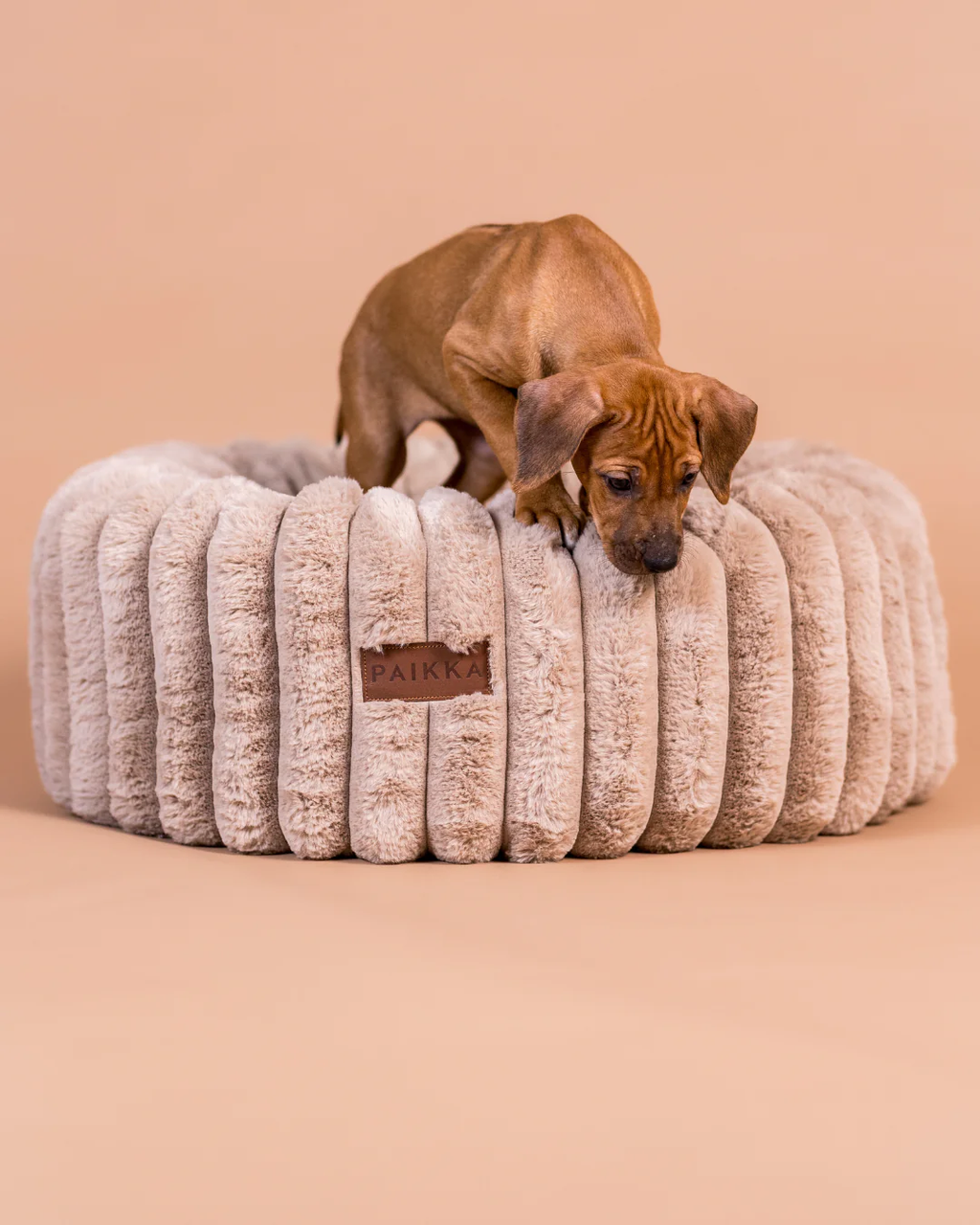 Orthopedic Plush Bed Round