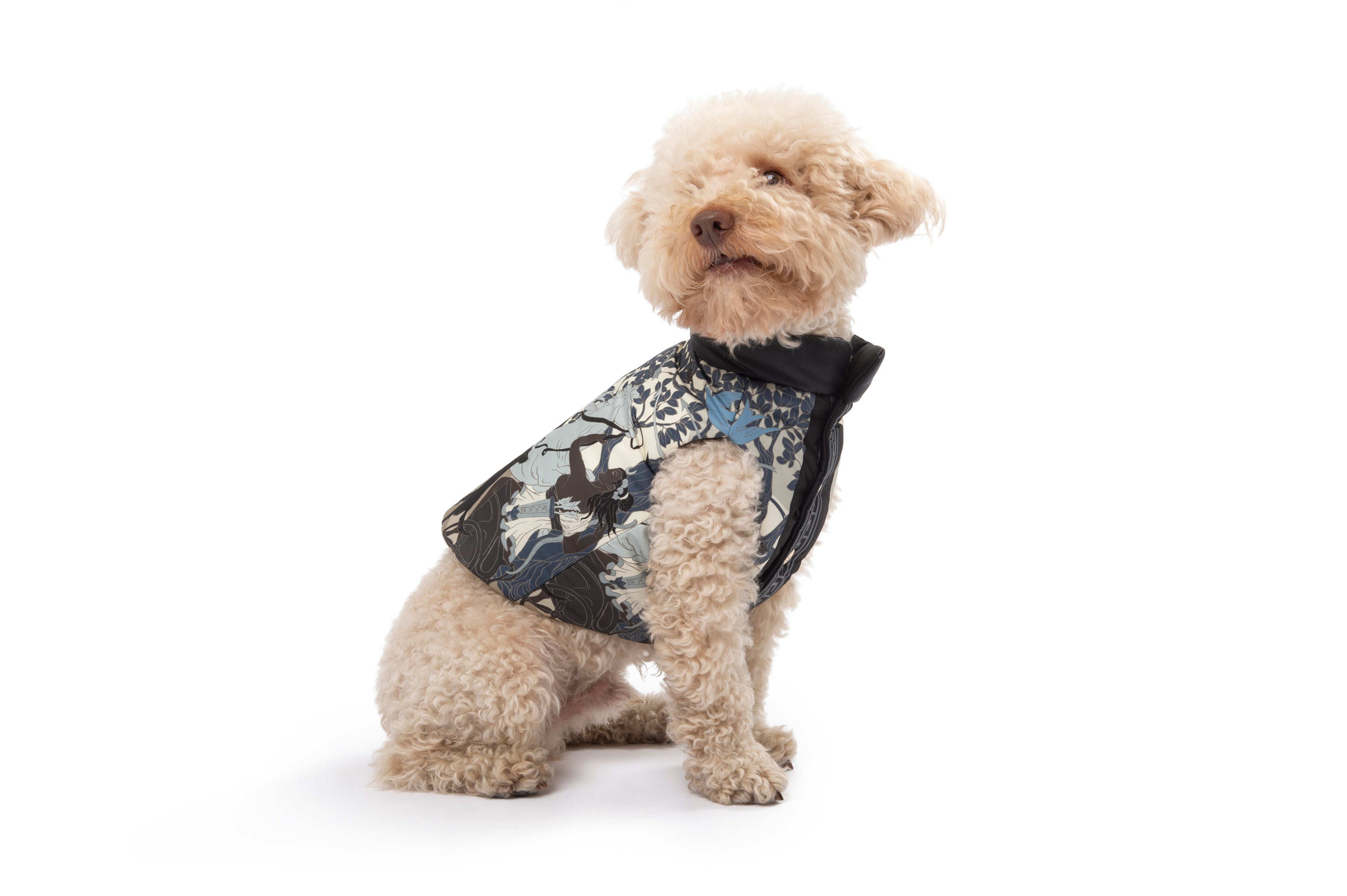 POLDO X RUBINACCI GILET