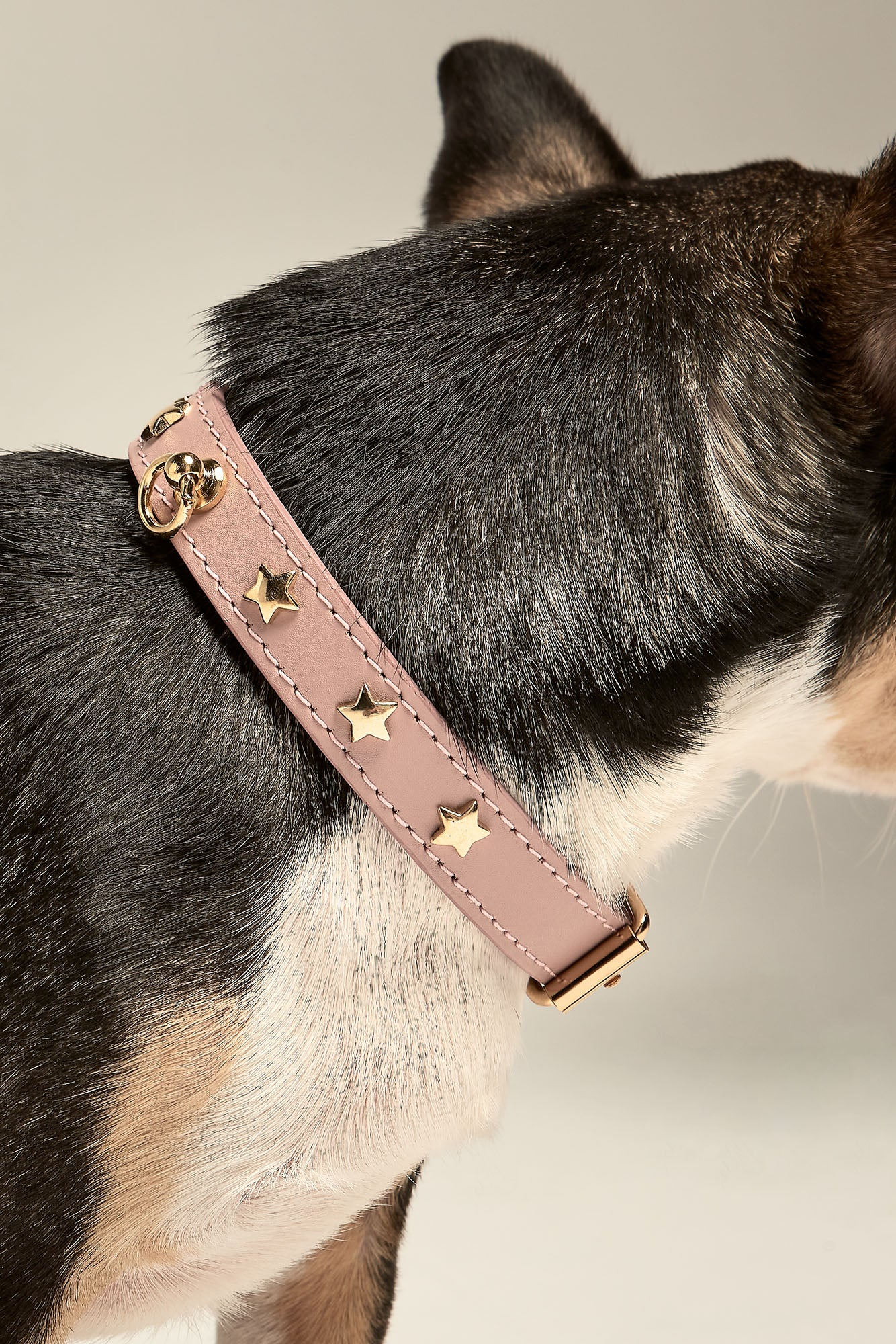 Pink Leather Nara Toy Dog Collar