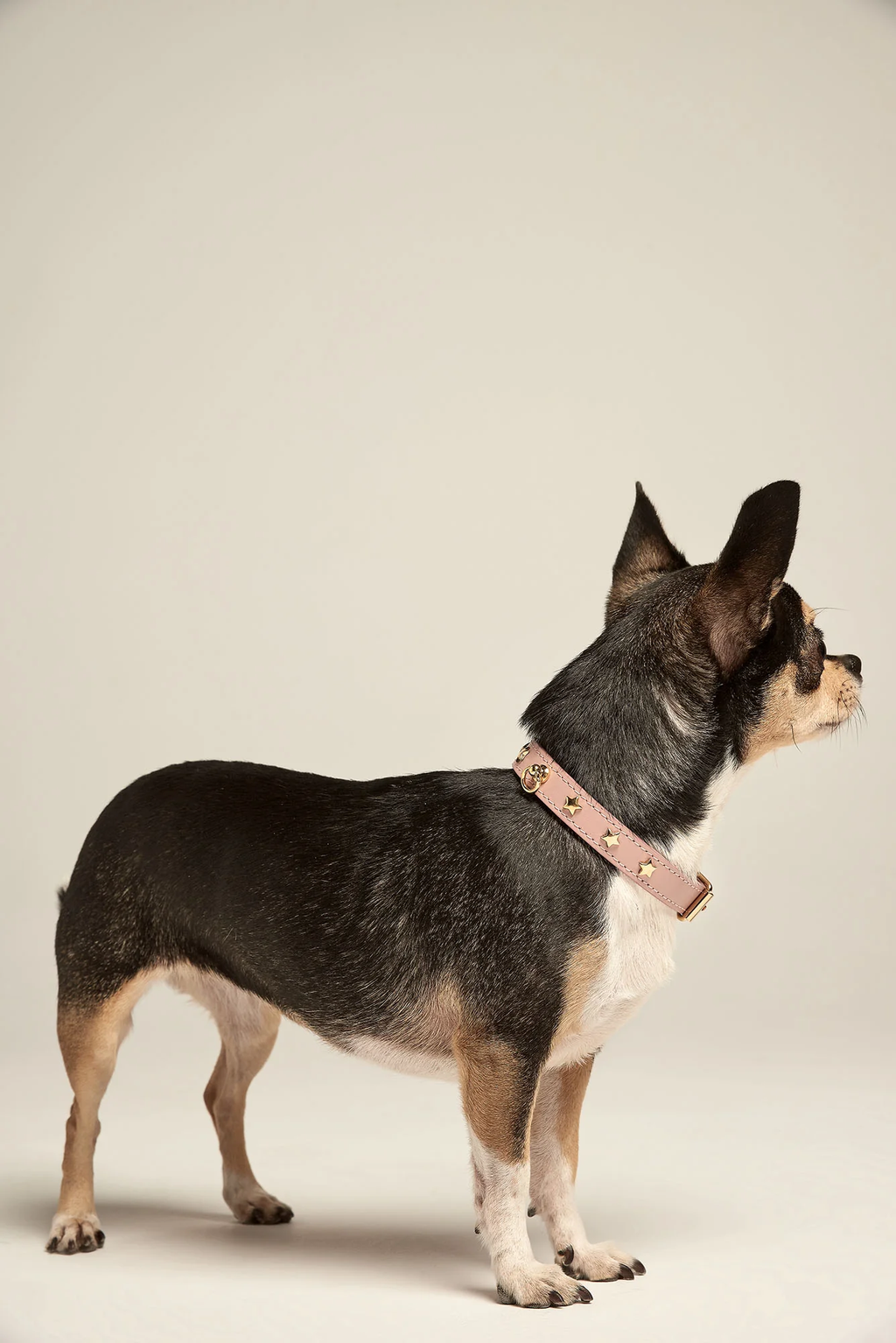 Pink Leather Nara Toy Dog Collar