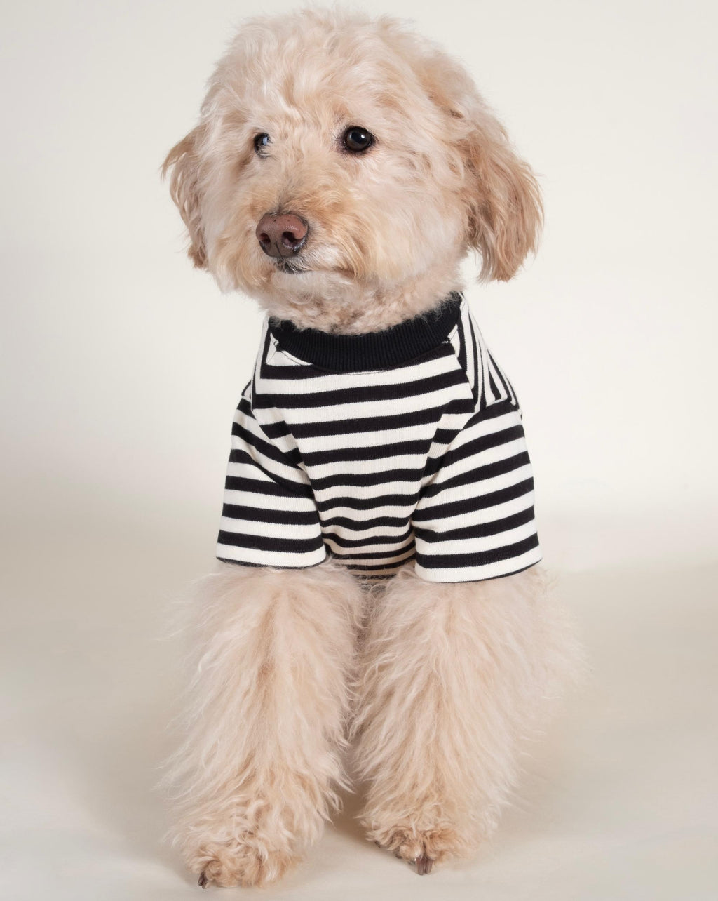 Playful Pooch Black + Ivory Striped Dog T-Shirt
