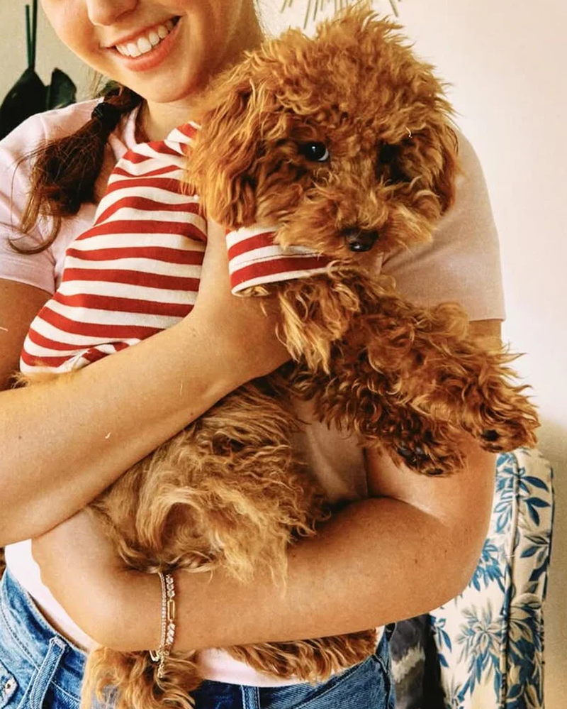 Playful Pooch Red + Ivory Striped Dog T-Shirt
