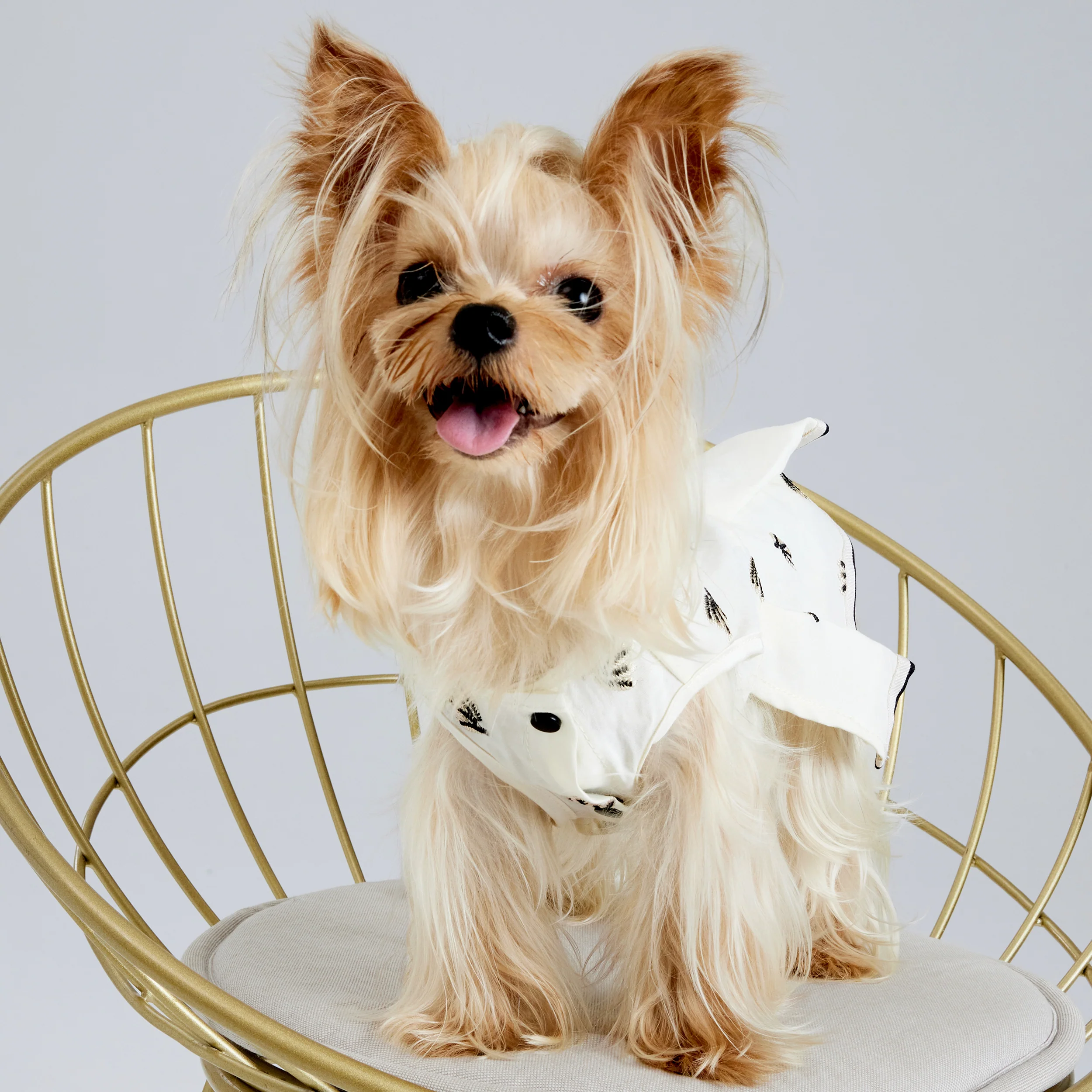 Pleated Dress with Embroider – Cream