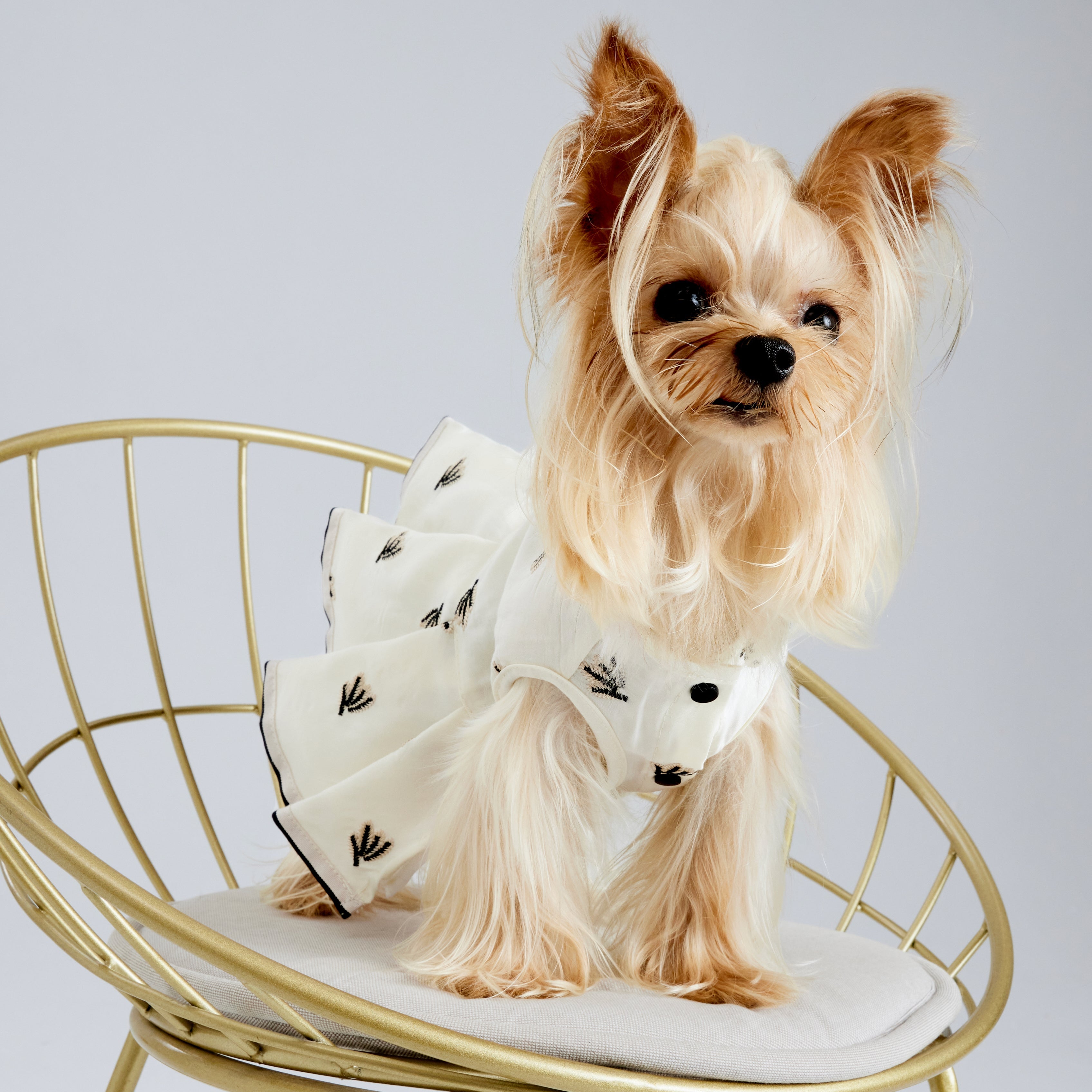 Pleated Dress with Embroider – Cream