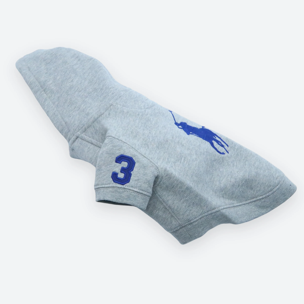 Polo Ralph Lauren Big-Pony Fleece Dog Hoodie