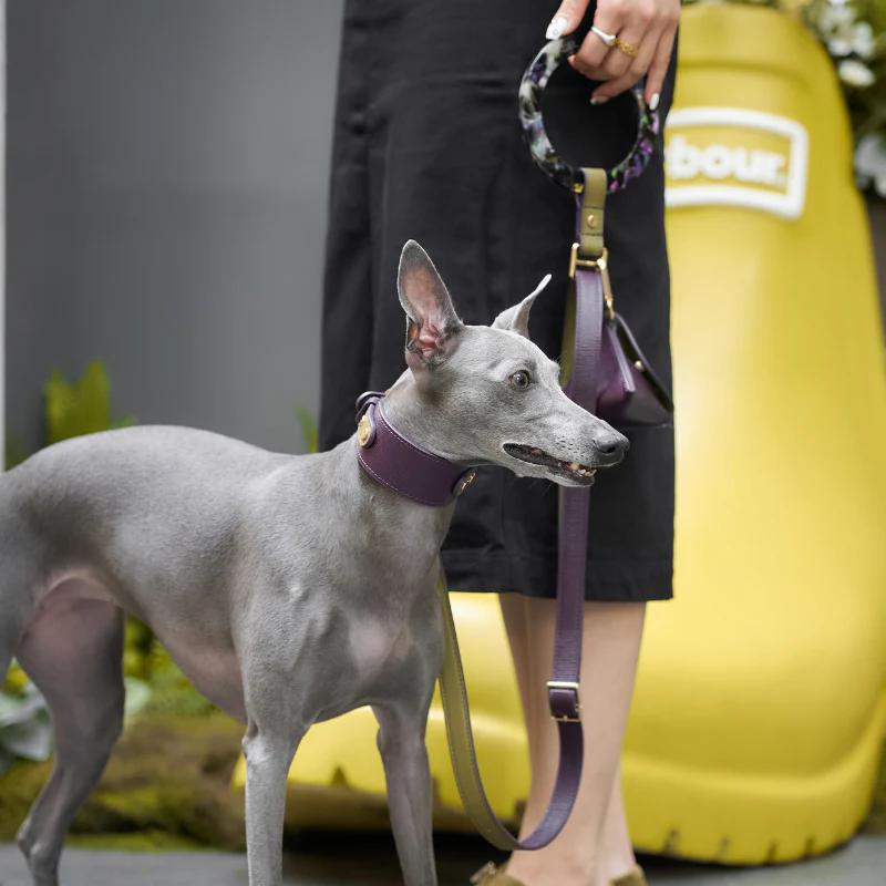 Purrble Leather Dog Leash
