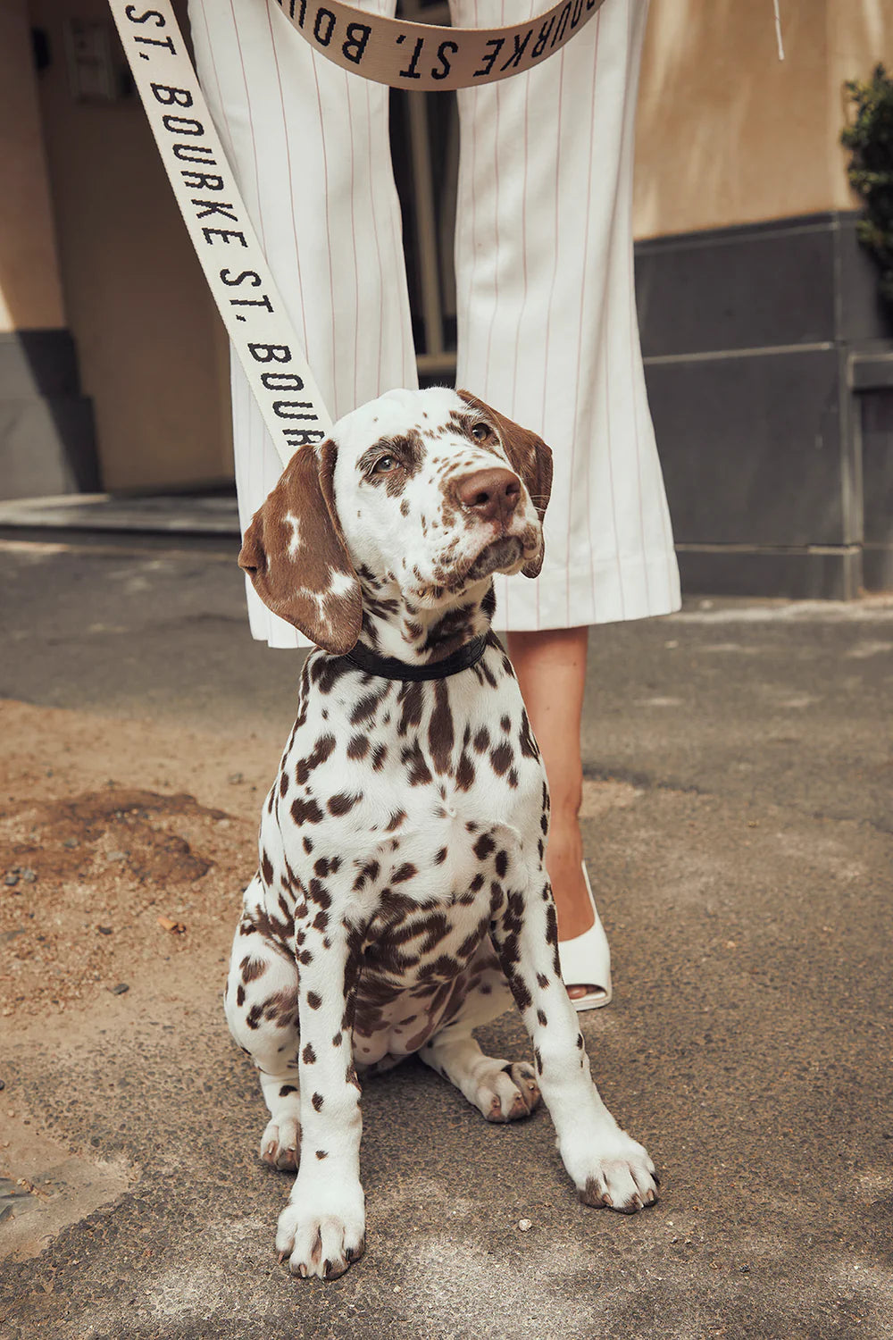 Jacquard Dog Lead - Oat