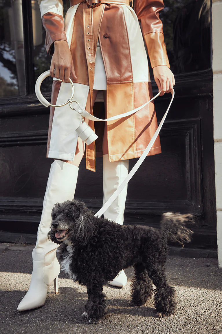 Signature Circle Dog Lead - Cream