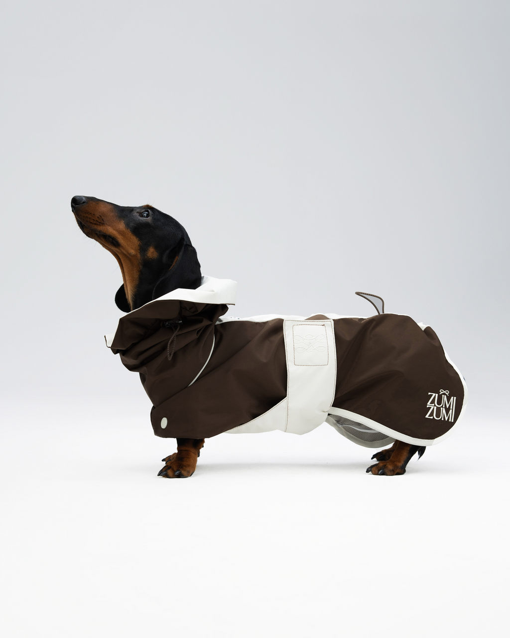The All Weather Raincoat – Brown/White
