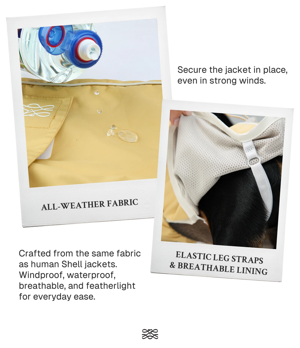 The All Weather Raincoat – Brown/White