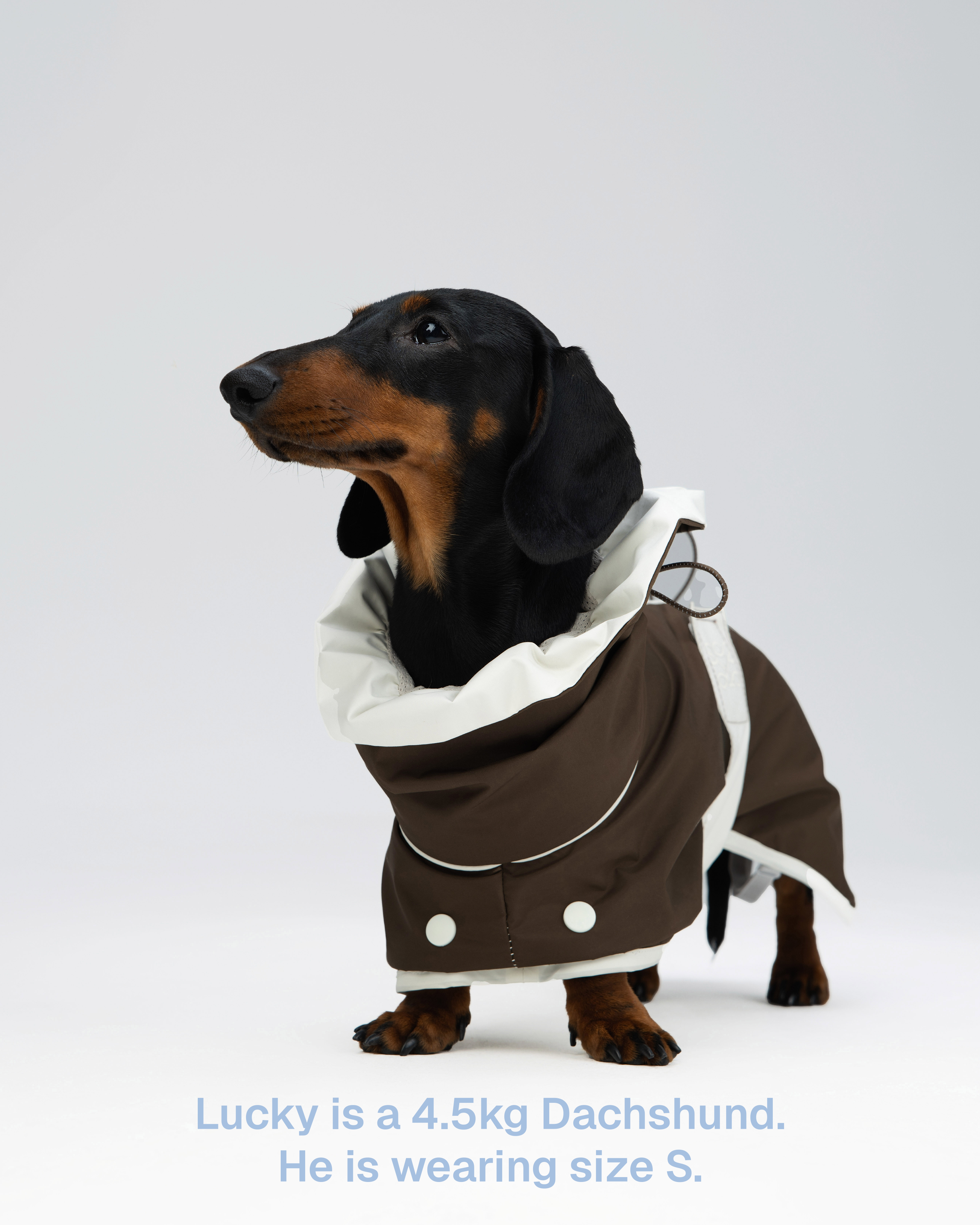 The All Weather Raincoat – Brown/White