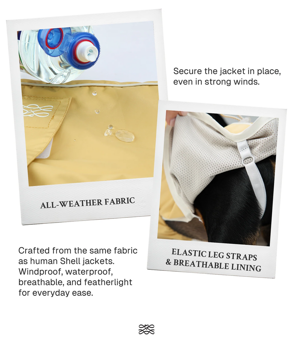 The All Weather Raincoat – Green