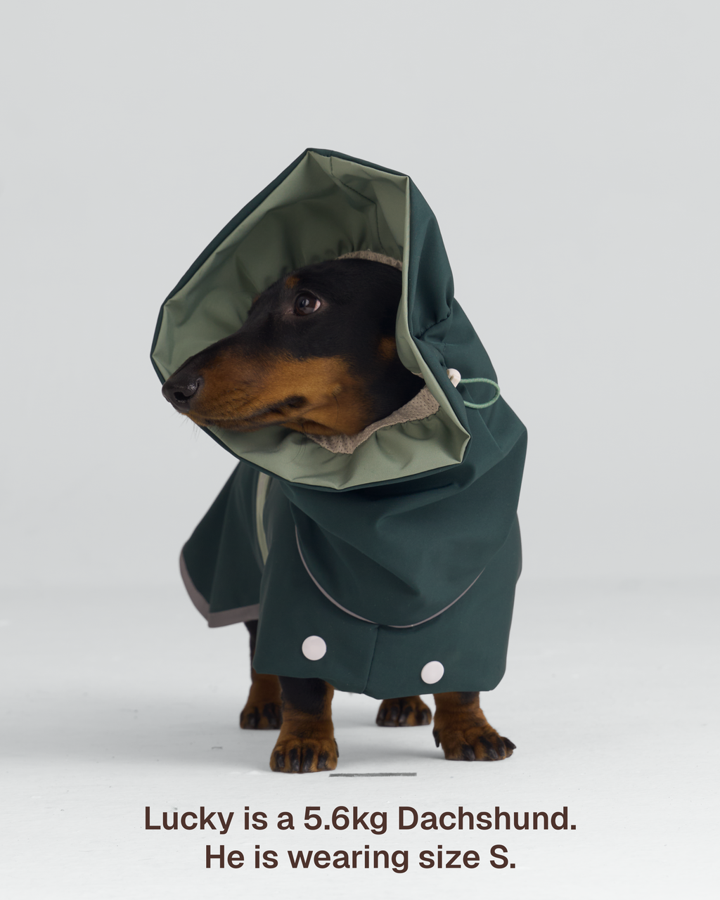The All Weather Raincoat – Green