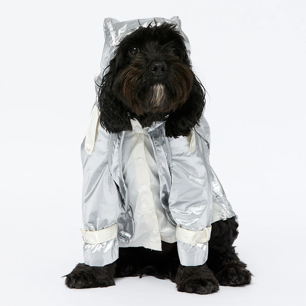 Raincoat - Silver