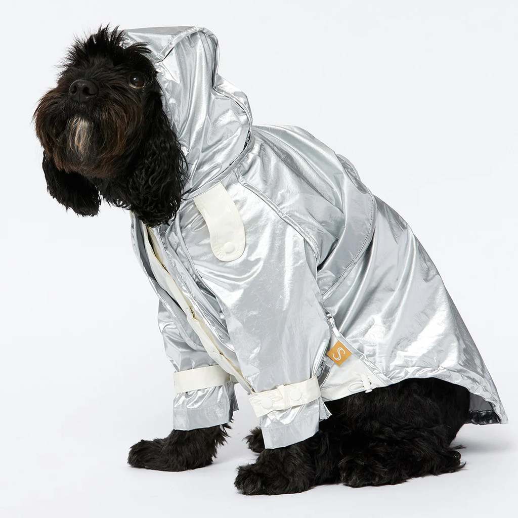 Raincoat - Silver