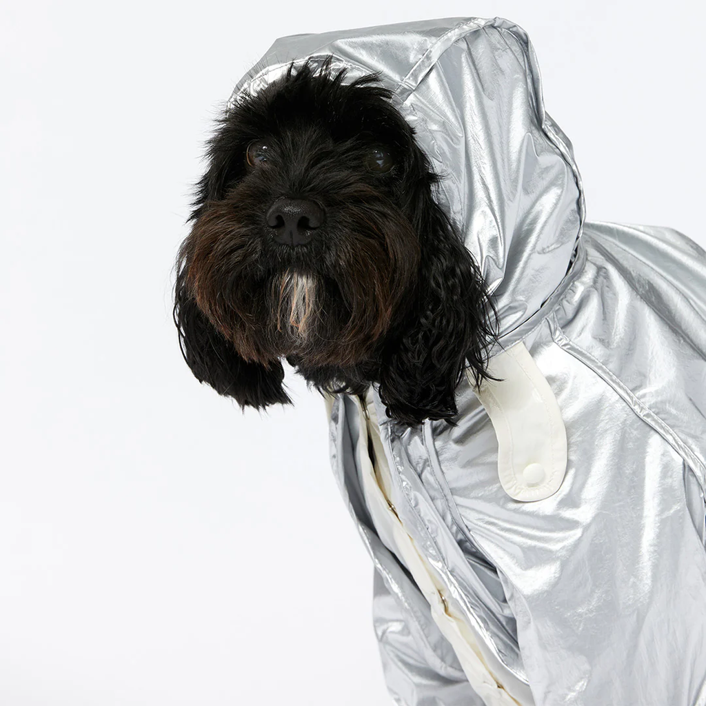 Raincoat - Silver