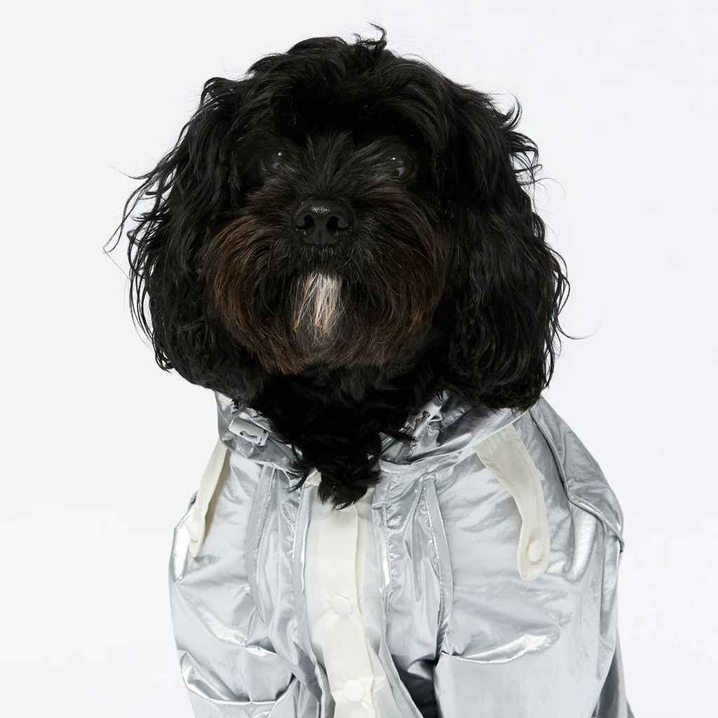 Raincoat - Silver