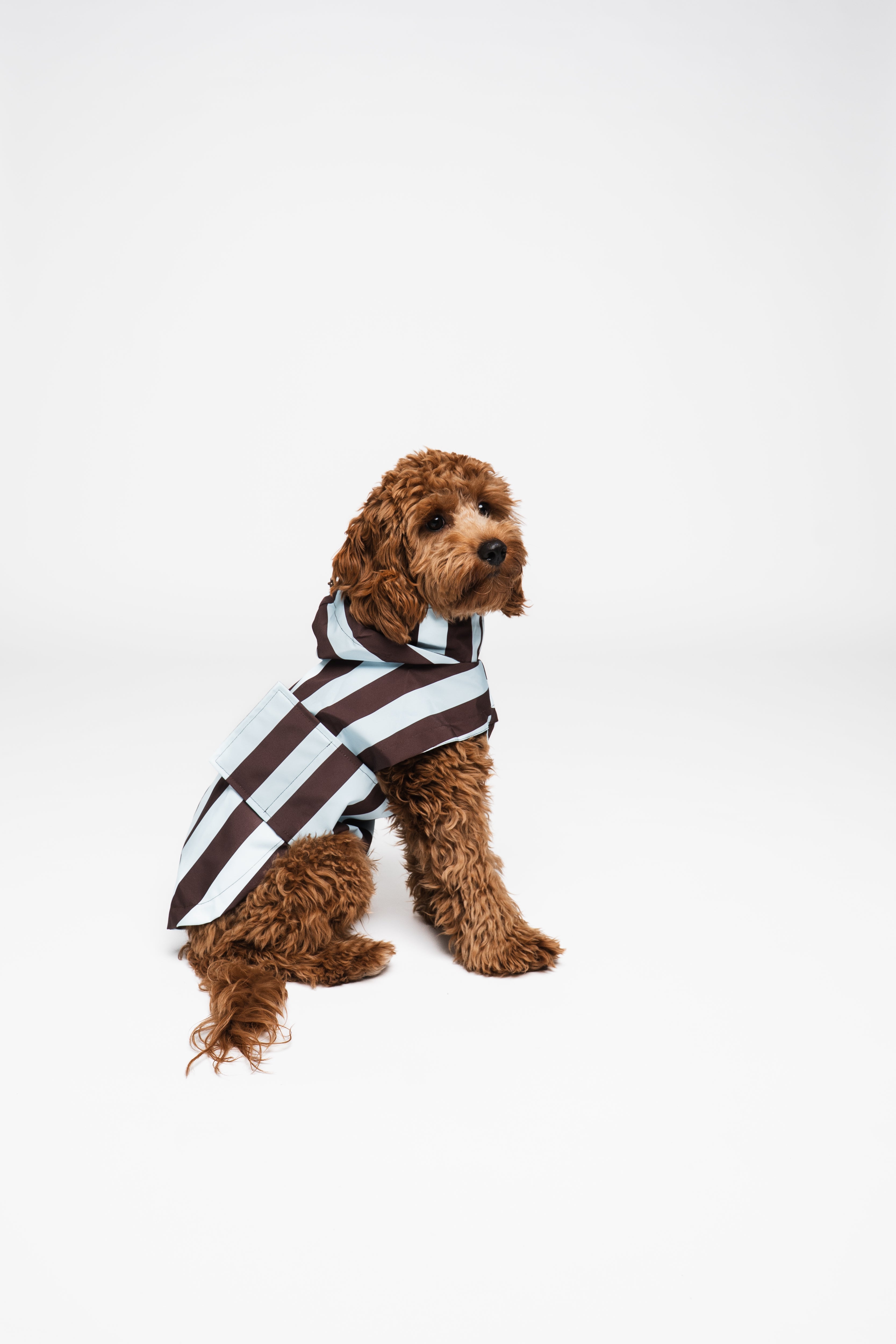 Raincoat Stripes