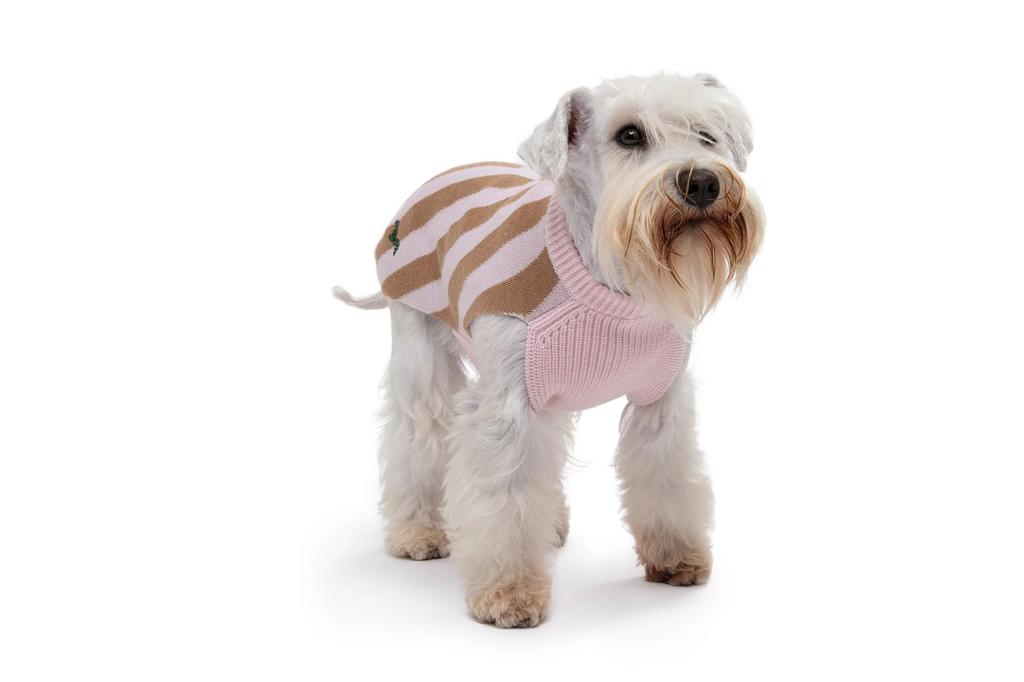 SOUL SWEATER