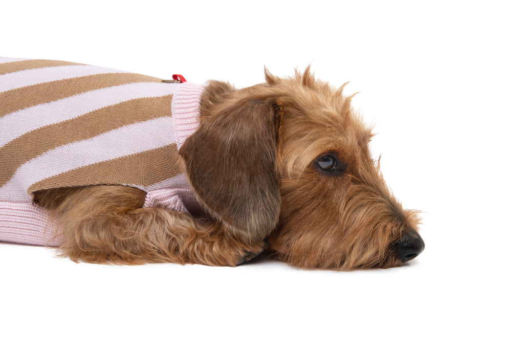 SOUL SWEATER