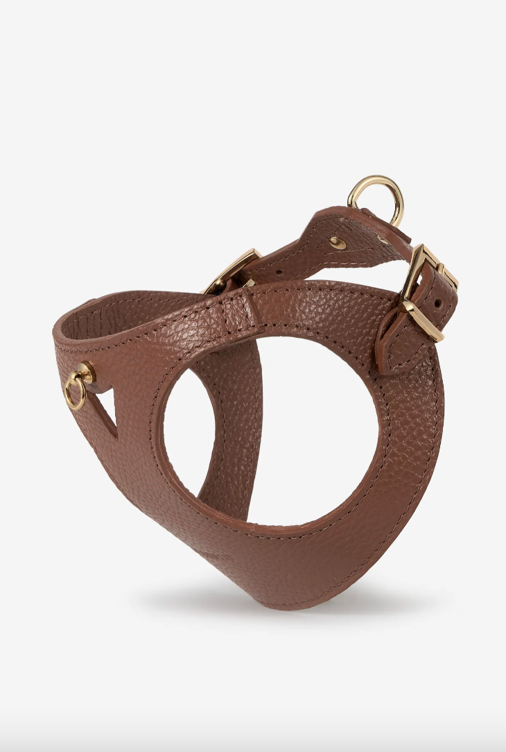 Brown Leather Juno Dog Harness