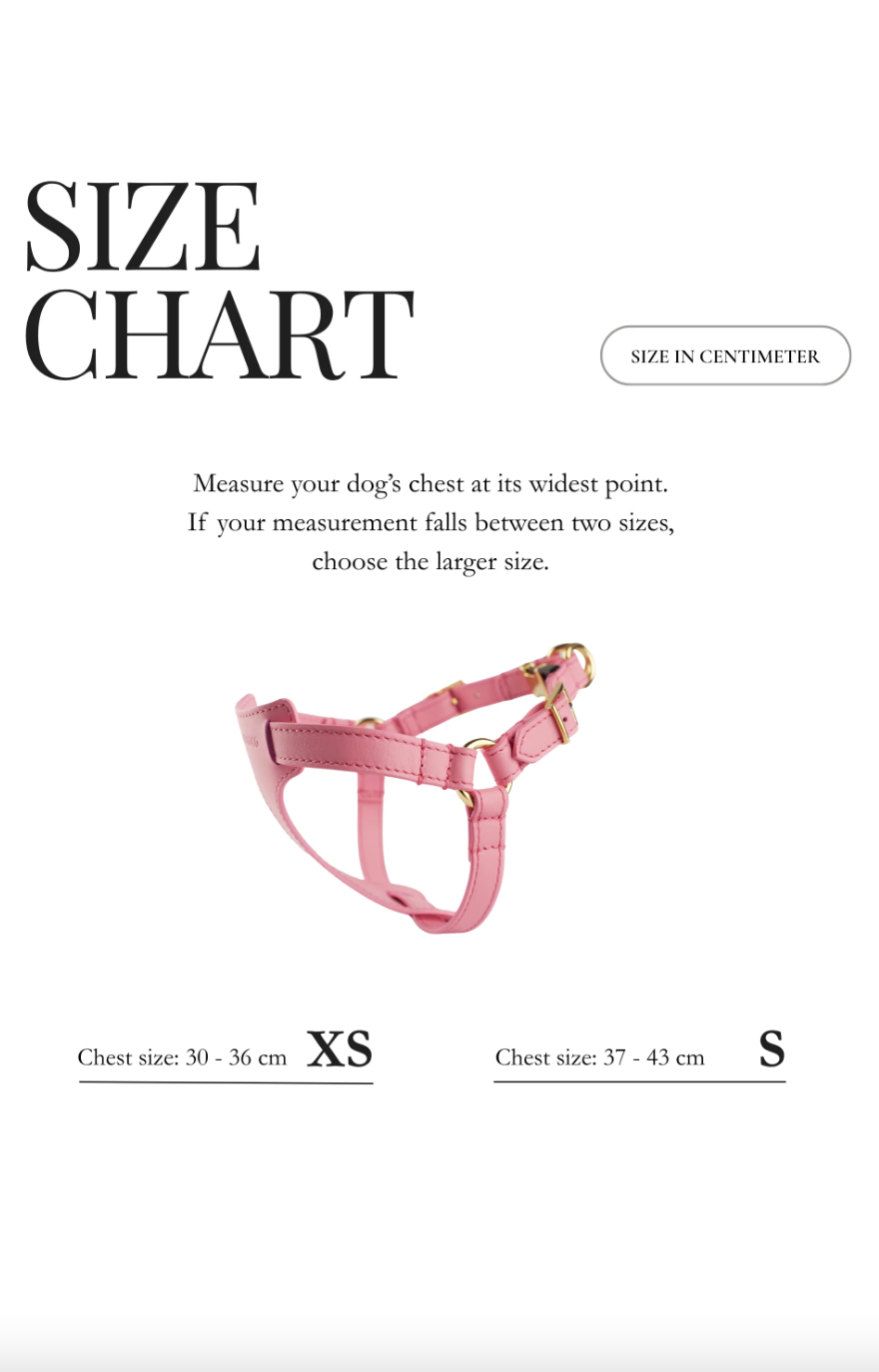 Italian Leather Harness – Pink & Gold