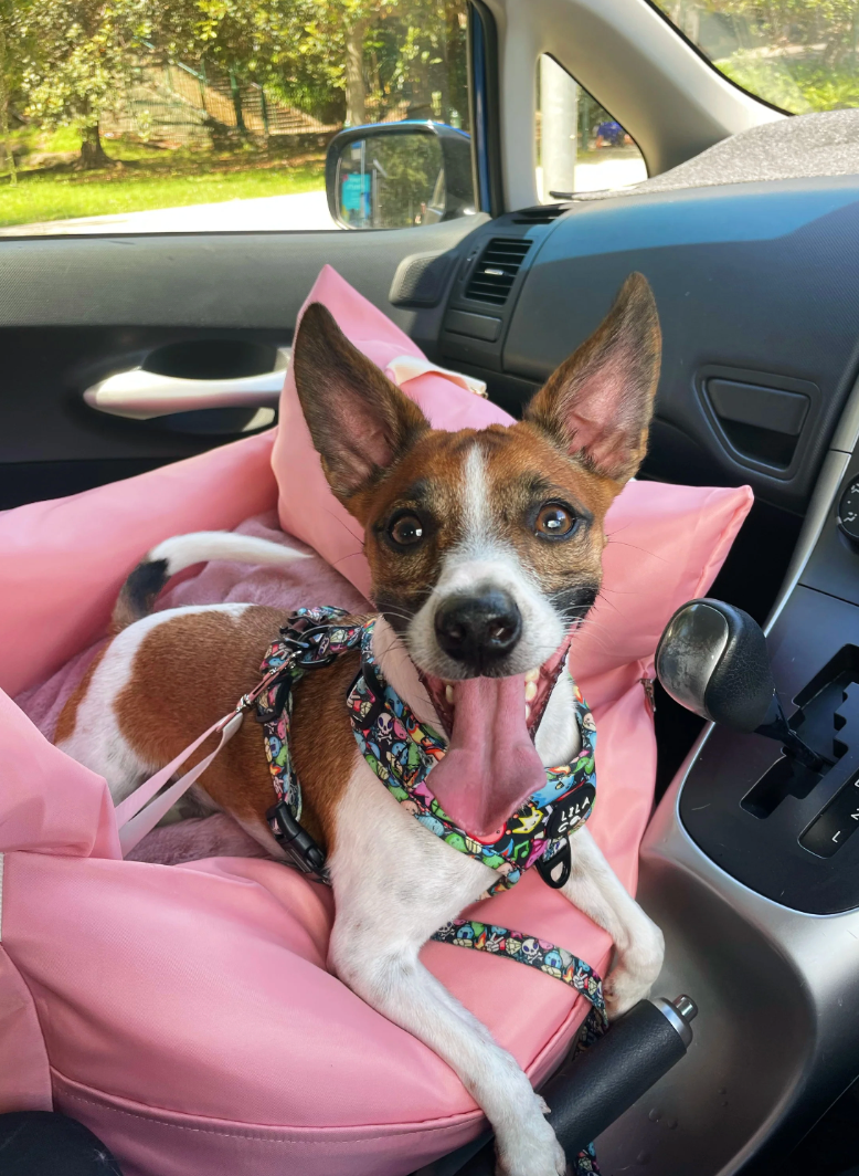 Premium Baby Pink Pet Car Seat
