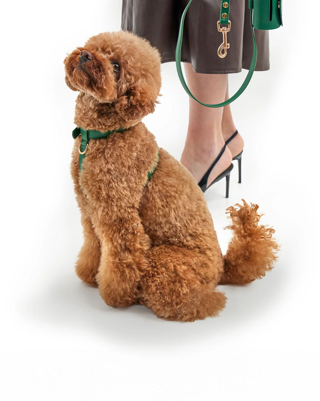 Signature Walk Set – Emerald Green