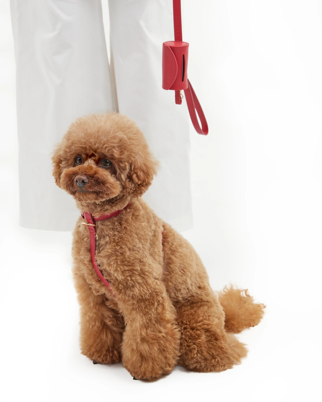 Signature Walk Set – Rouge Red