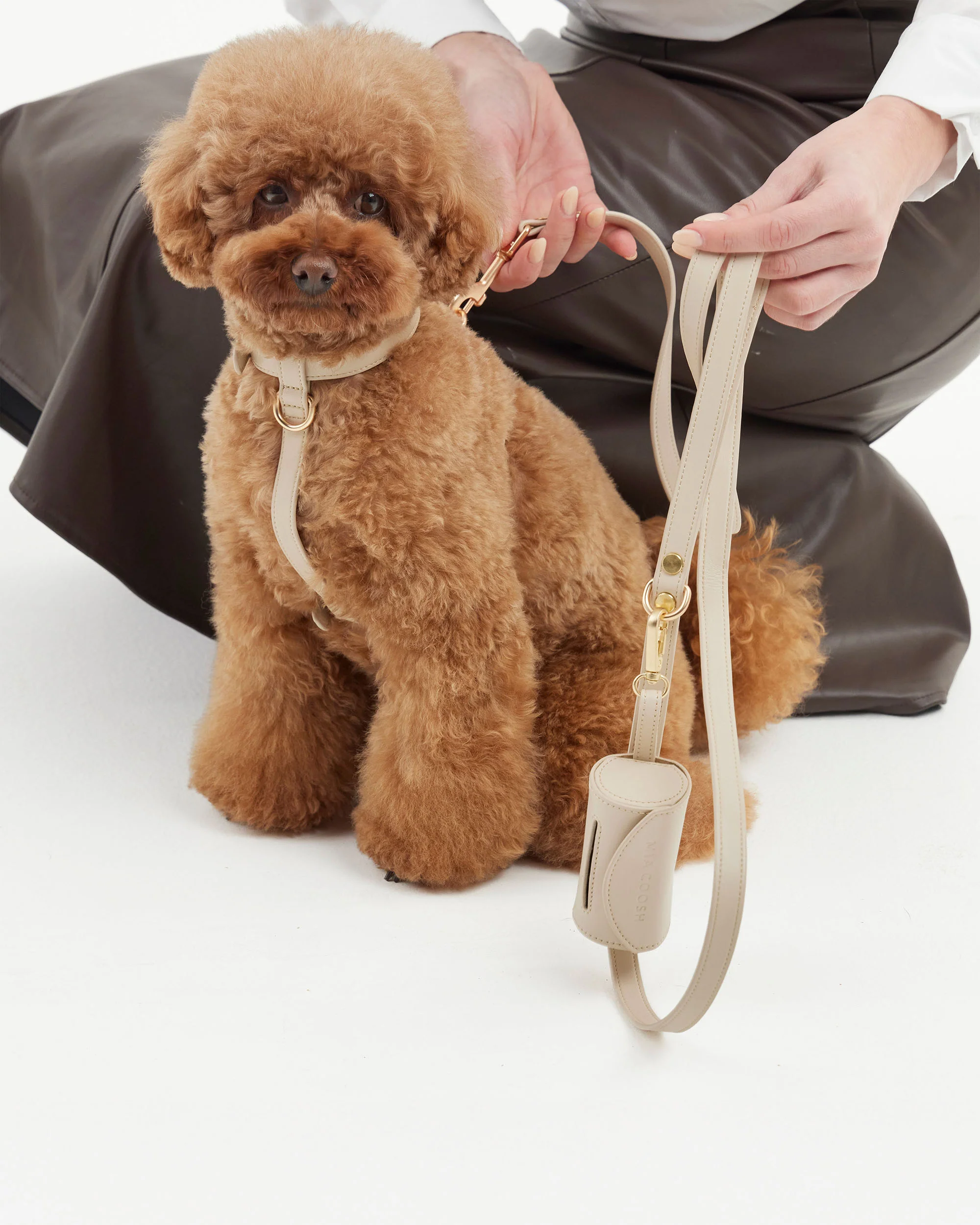 Signature Walk Set – Vanilla Cream