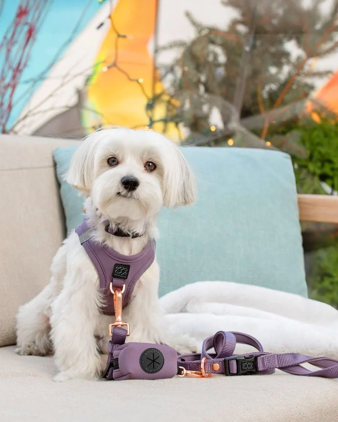 Soho Dog Walking Set - Lilac Gray